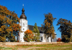 Z dziejów zapomnianych bohaterów