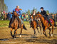 Hubertus Świętokrzyski 2012 Hubertus Świętokrzyski 2012